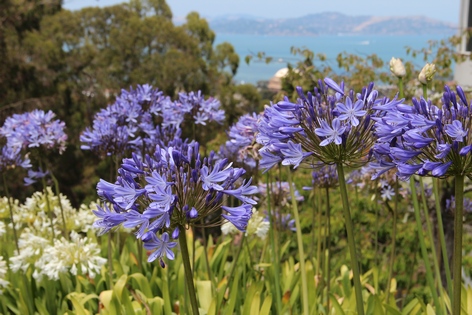 ���-���������